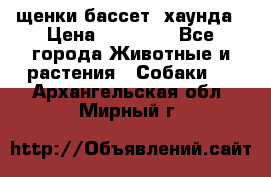 щенки бассет- хаунда › Цена ­ 20 000 - Все города Животные и растения » Собаки   . Архангельская обл.,Мирный г.